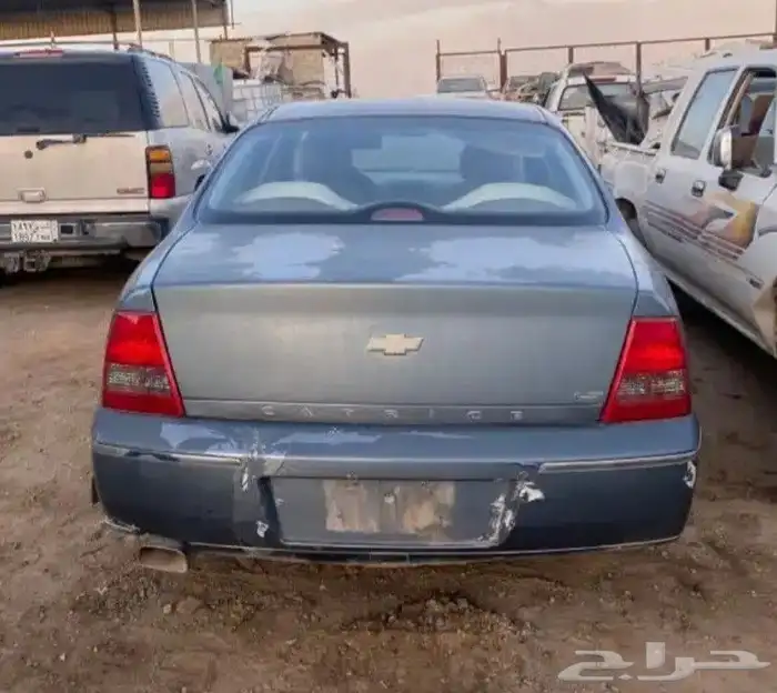 شفر كابرس 2024 7