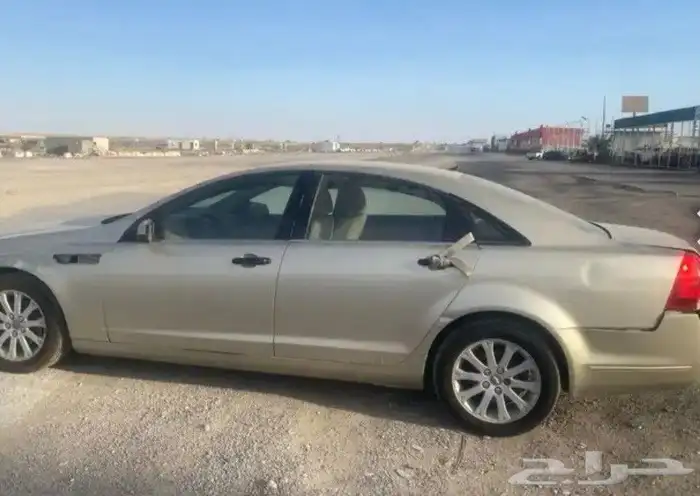 شفر كابرس 2024 4