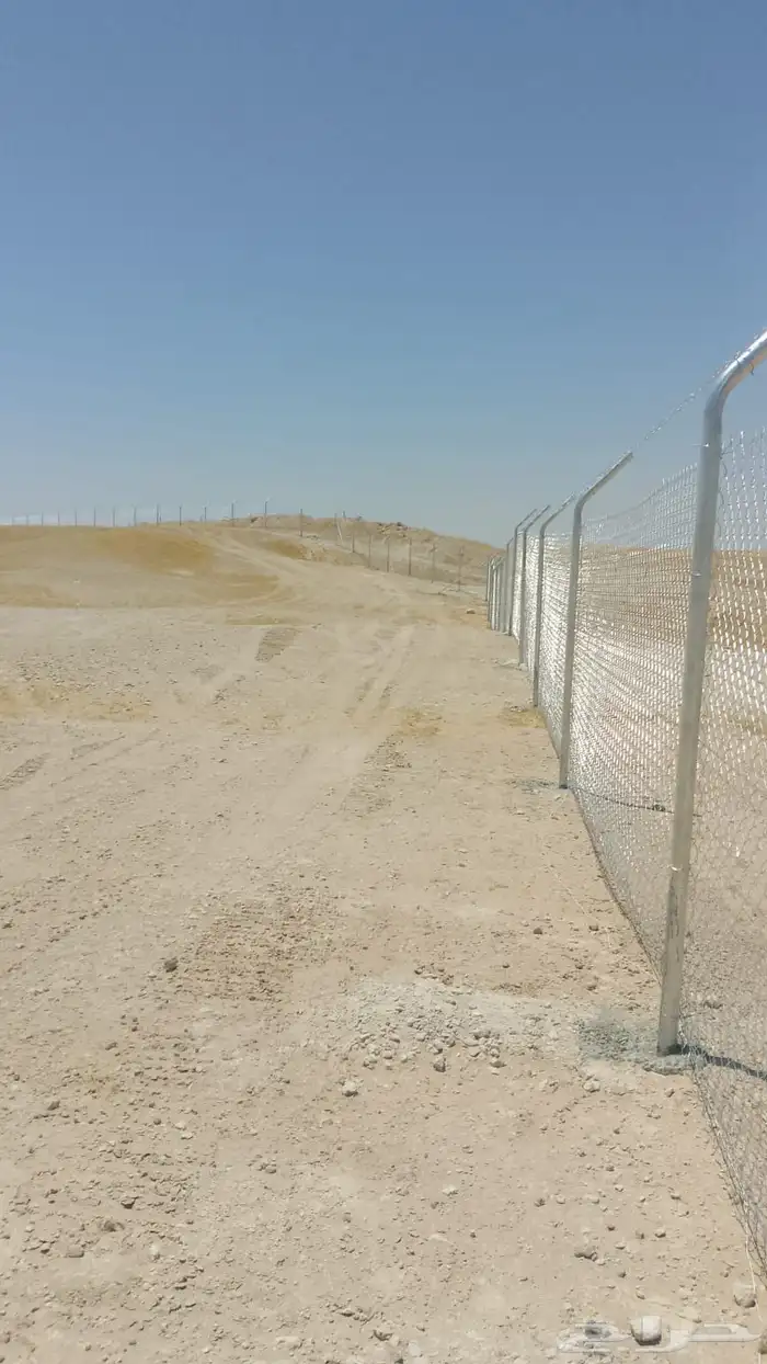 مقاول شبوك ونخل 4