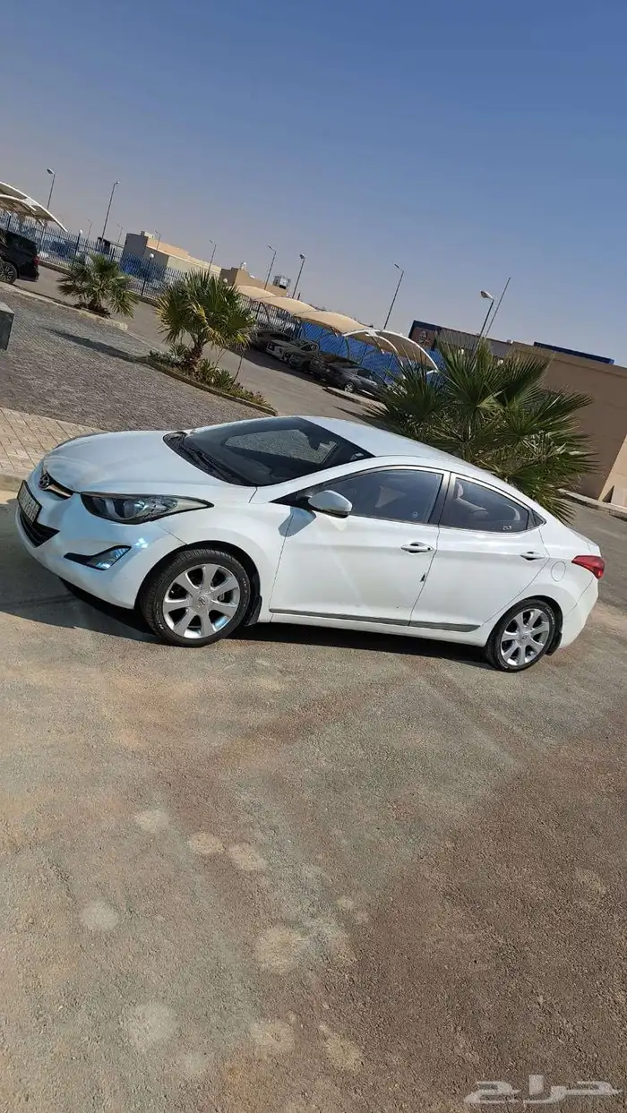 النترا 2013 4
