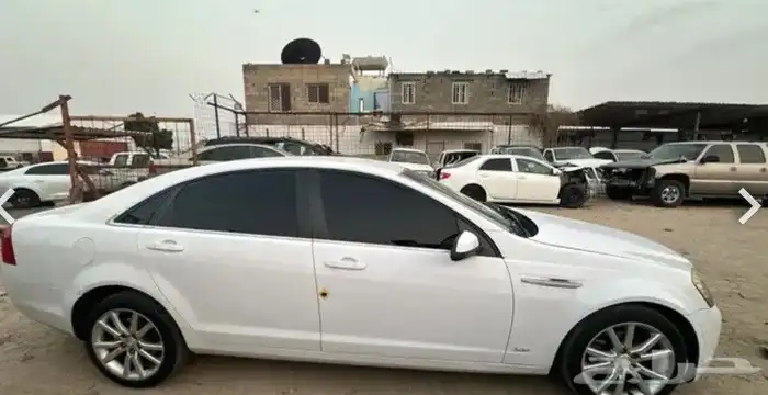 شفر كابرس 2024 5