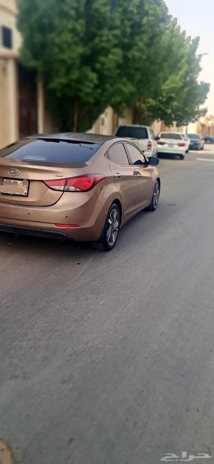 النترا 2015 5