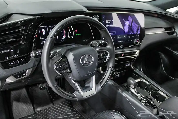 2024 Lexus RX 350 6