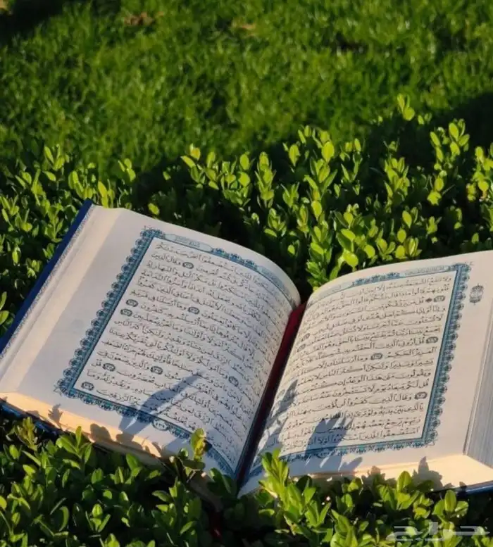 محفظ قرآن كريم بالقراءات العشر الصغري والكبري أونلاين 0