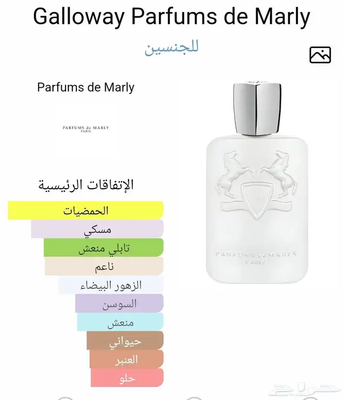 دي مارلي جالوي باتش قديم 3