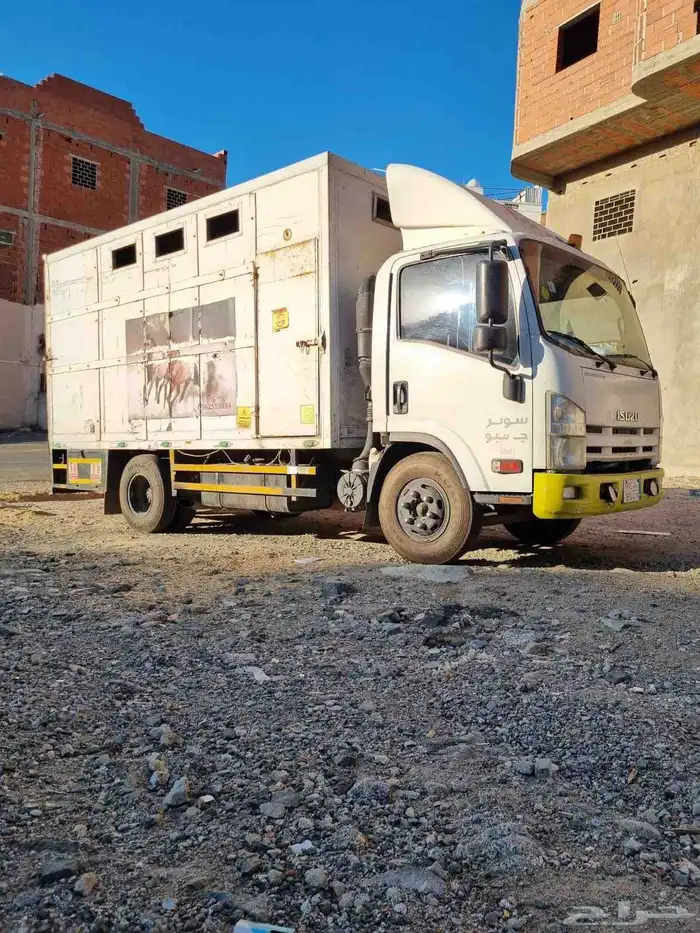 عربه نقل خيل 3