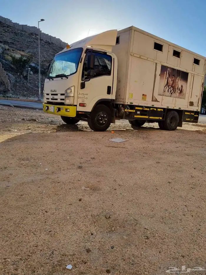 عربه نقل خيل 0