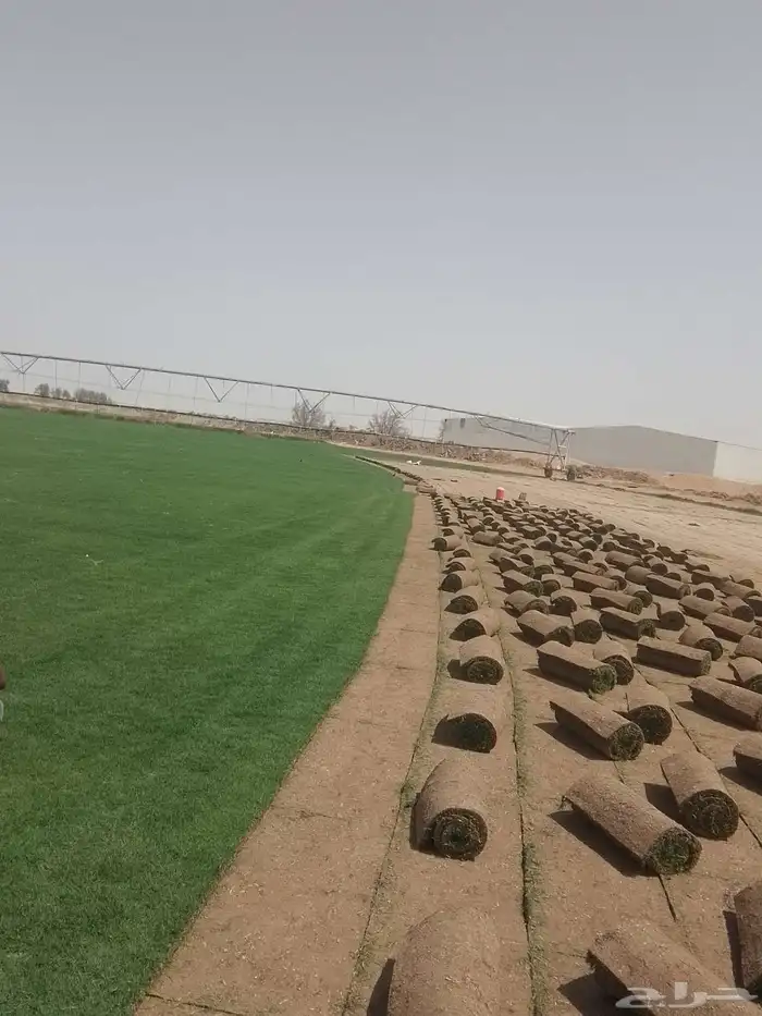 مسطحات خضراء 0