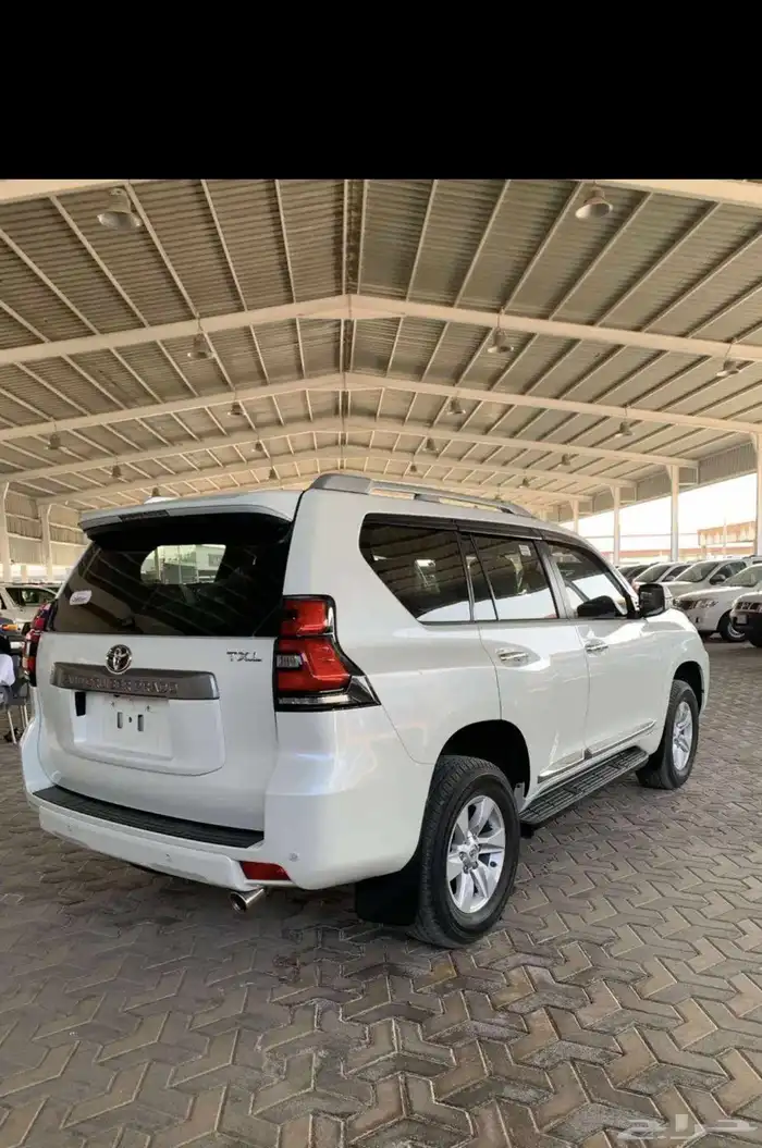 برادو مديل 2019 11