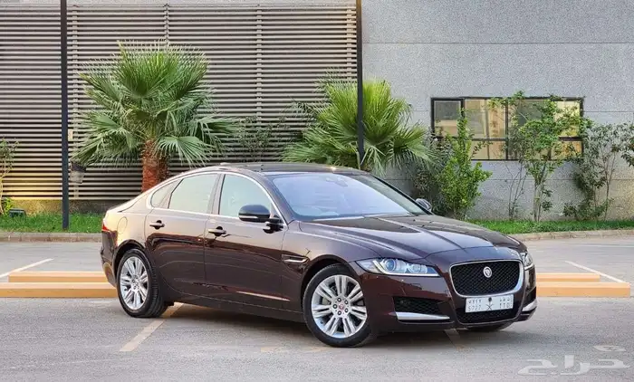جاكور XF 2018 بحالة ممتازة 6