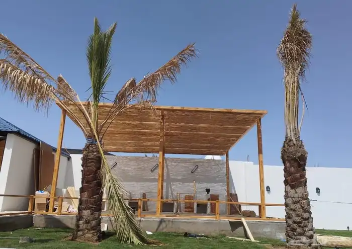 حديقه خيزران رولات الخيزران خيزران الجمله 0