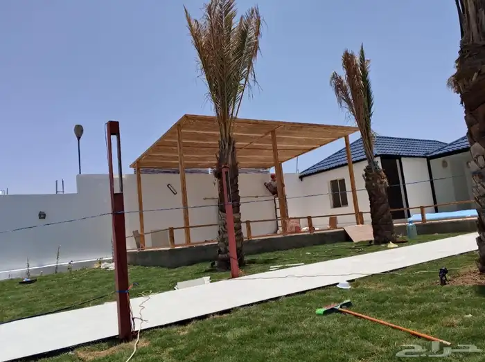 حديقه خيزران رولات الخيزران خيزران الجمله 4
