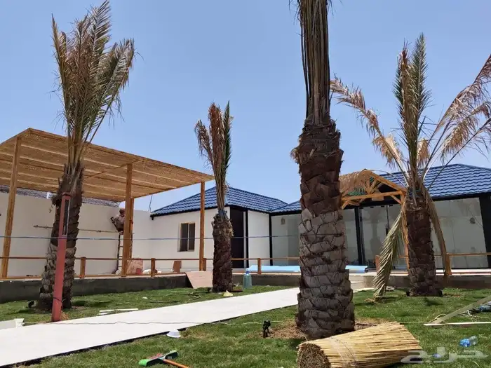 حديقه خيزران رولات الخيزران خيزران الجمله 1