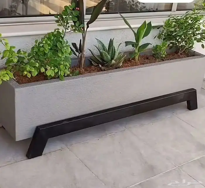 جده مكه طائف الرياض المملكة العربية السعودية 3