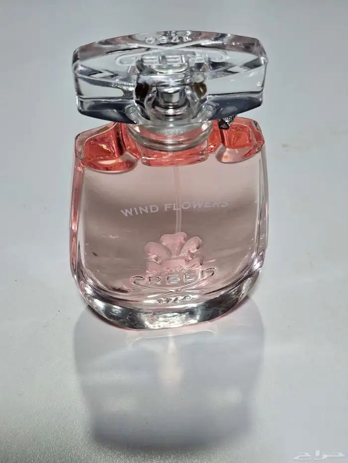 عطور اصلي وبسعر الاصلي 16