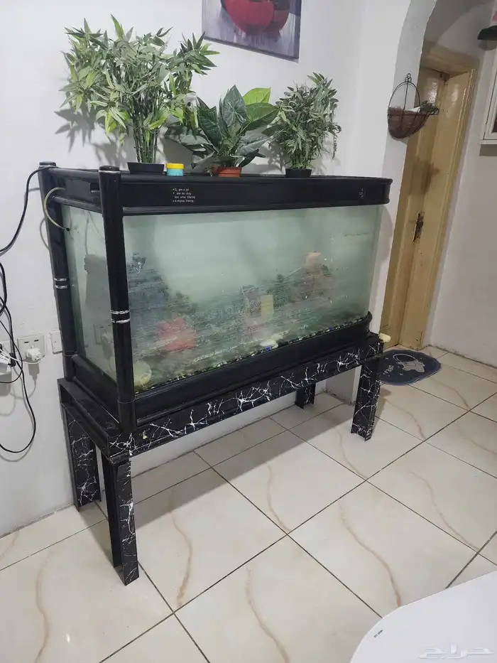 حوض سمك كبير وفاخر شامل الزينه والقاعده للبيع 0