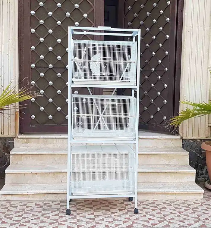 استاند اقفاص 0