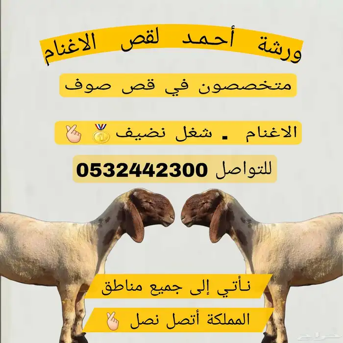 قص غنم مكينه 1