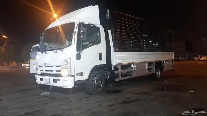 دينا 5ونص طالع لبريدة 0