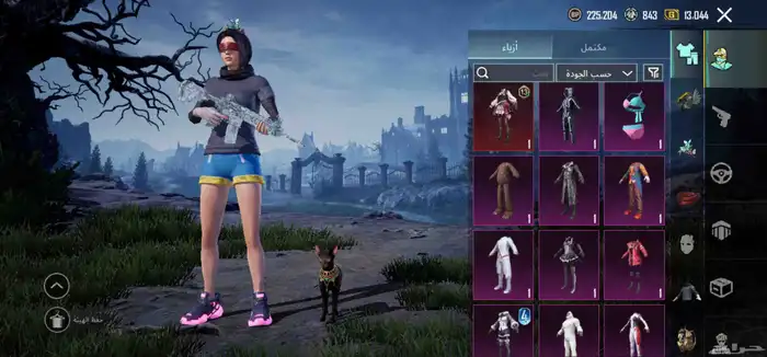 حساب ببجي للبيع 3
