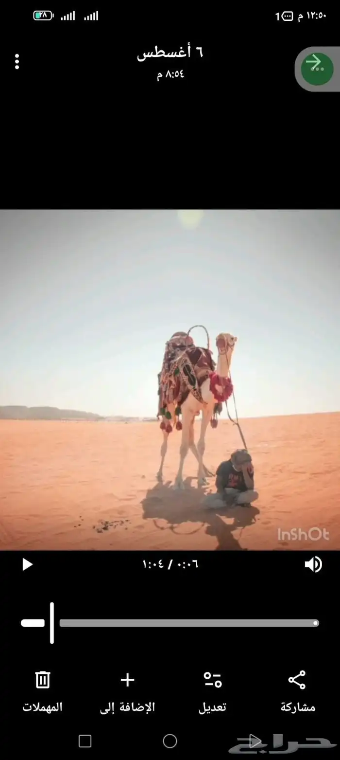 سلام عليكم يوجد لدينا اجار خيل و جمال وسيسي يوم اسبوع شهر 3