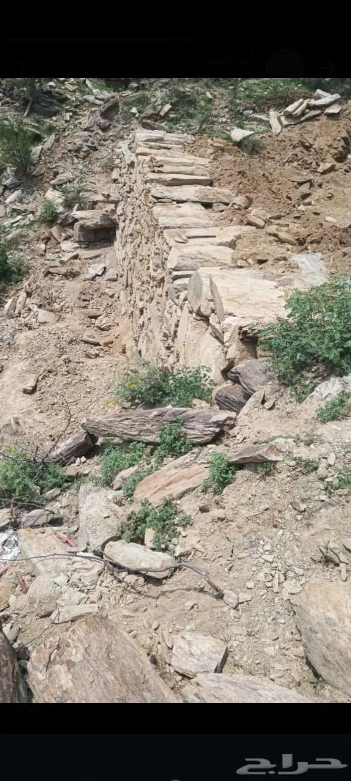 بنيان بكلين 0
