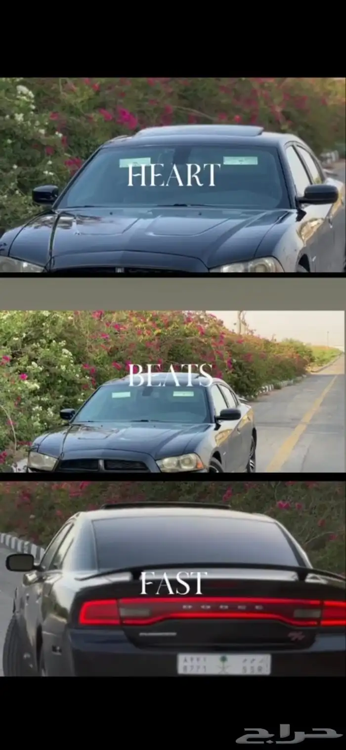 دودج شارجر المجمعة 3