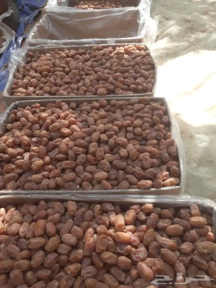 تمر خلاص طيب الكميه 700 كرتون موز 0