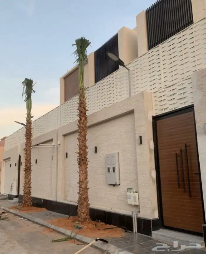 نخيل واشنطني زينه 1