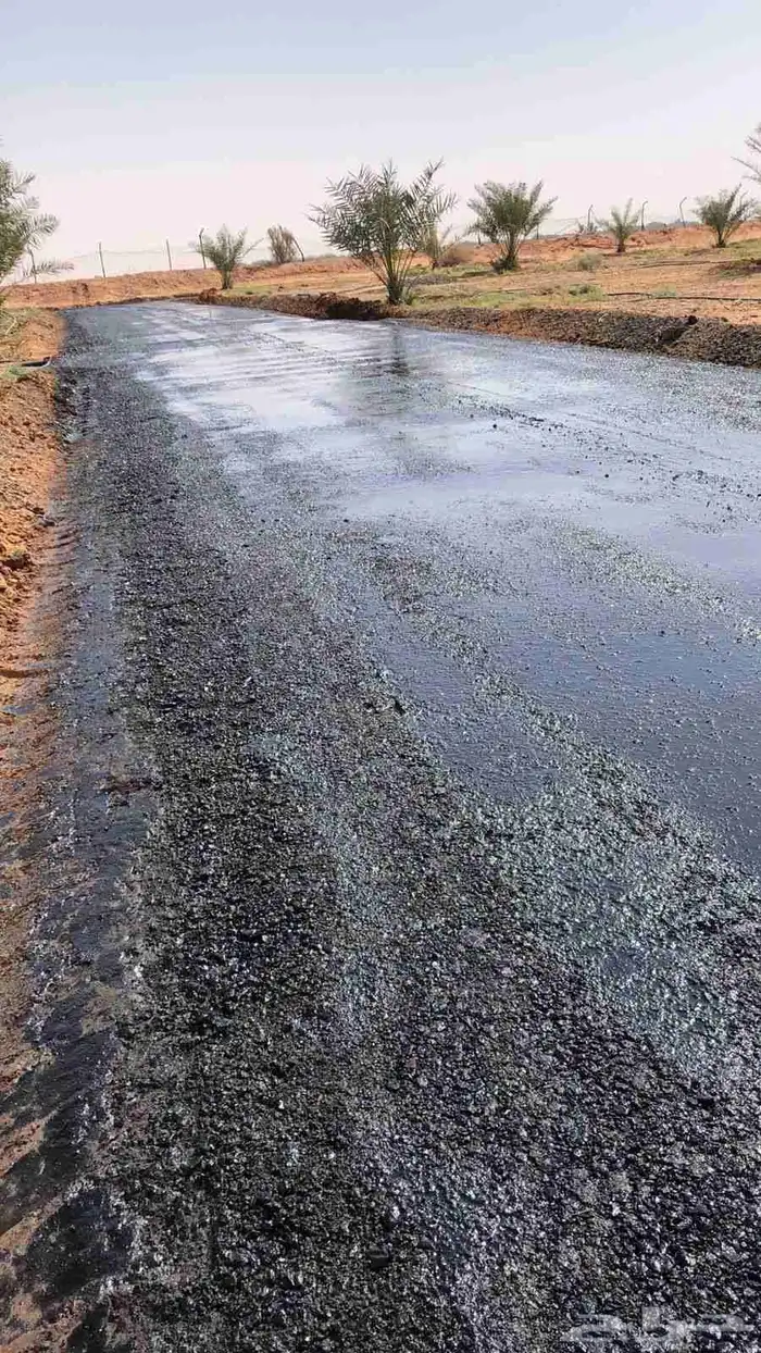زفلتة حاروبارد اسعار طيبة يامرحبا 5