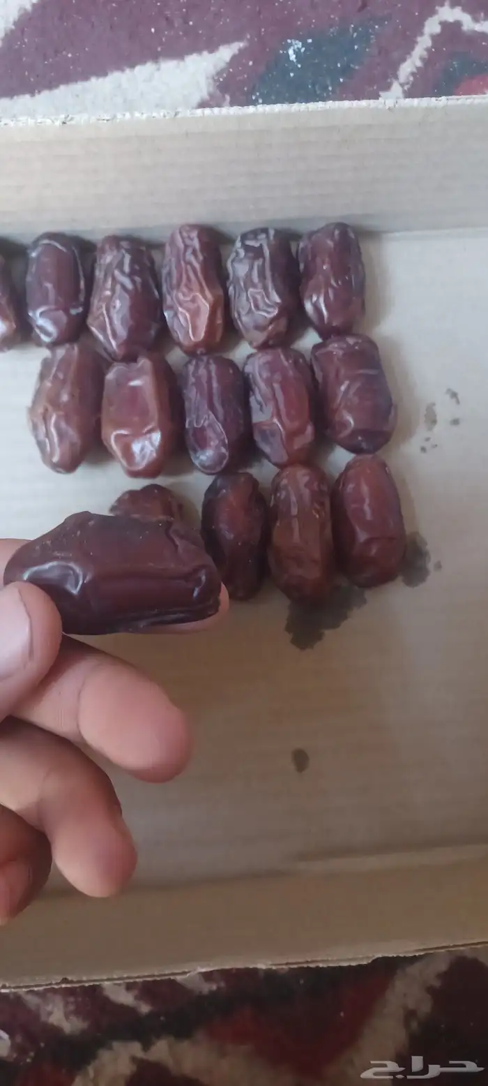 متوفر خضري الغاط جانبو الكميه مفتوحه اتواصل 0