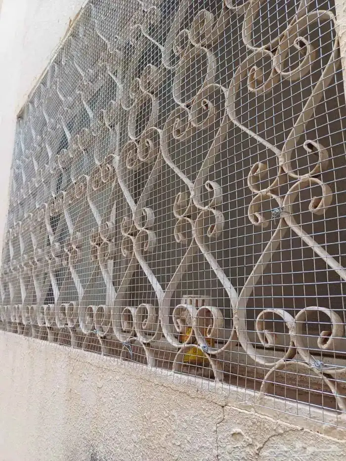 طارد الحمام الطيور شب 5