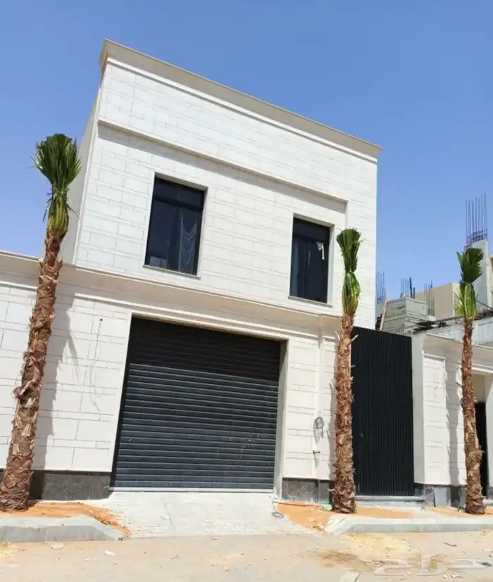 نخيل واشنطني زينه 5