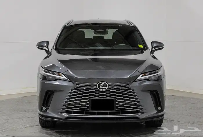 2024 Lexus RX 350 0