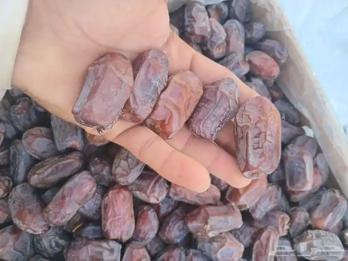 السلام عليكم ورحمه الله وبركاته يتوفر خضري فاخر 0