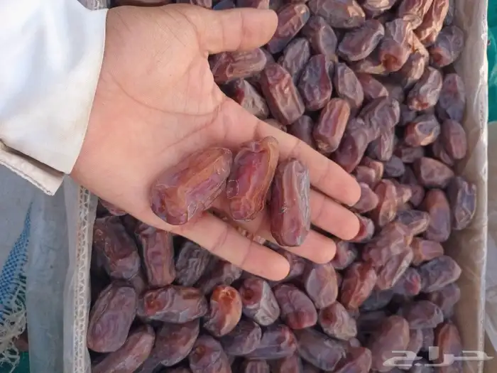 السلام عليكم ورحمه الله وبركاته يتوفر خضري فاخر 2