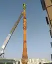 توريد وزارته النخيل 7
