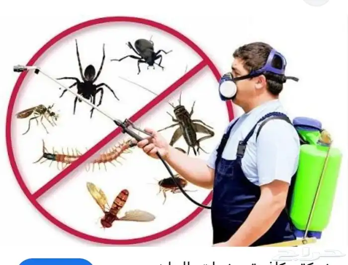 مكافحة رش حشرات بالمدينة المنورة 0