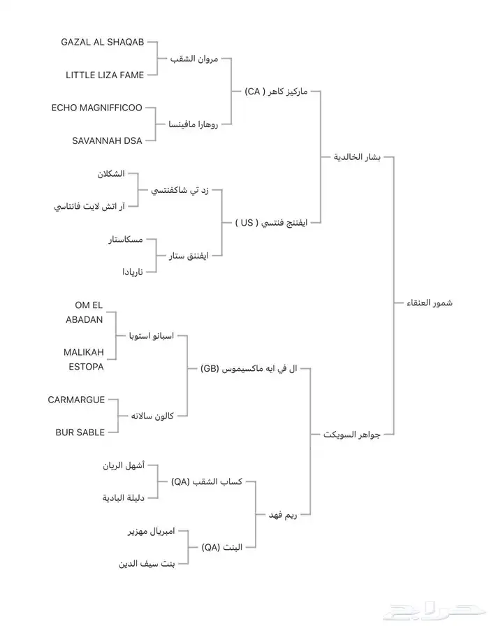 فرس دماء جمال ولقاح 5 شهور 3