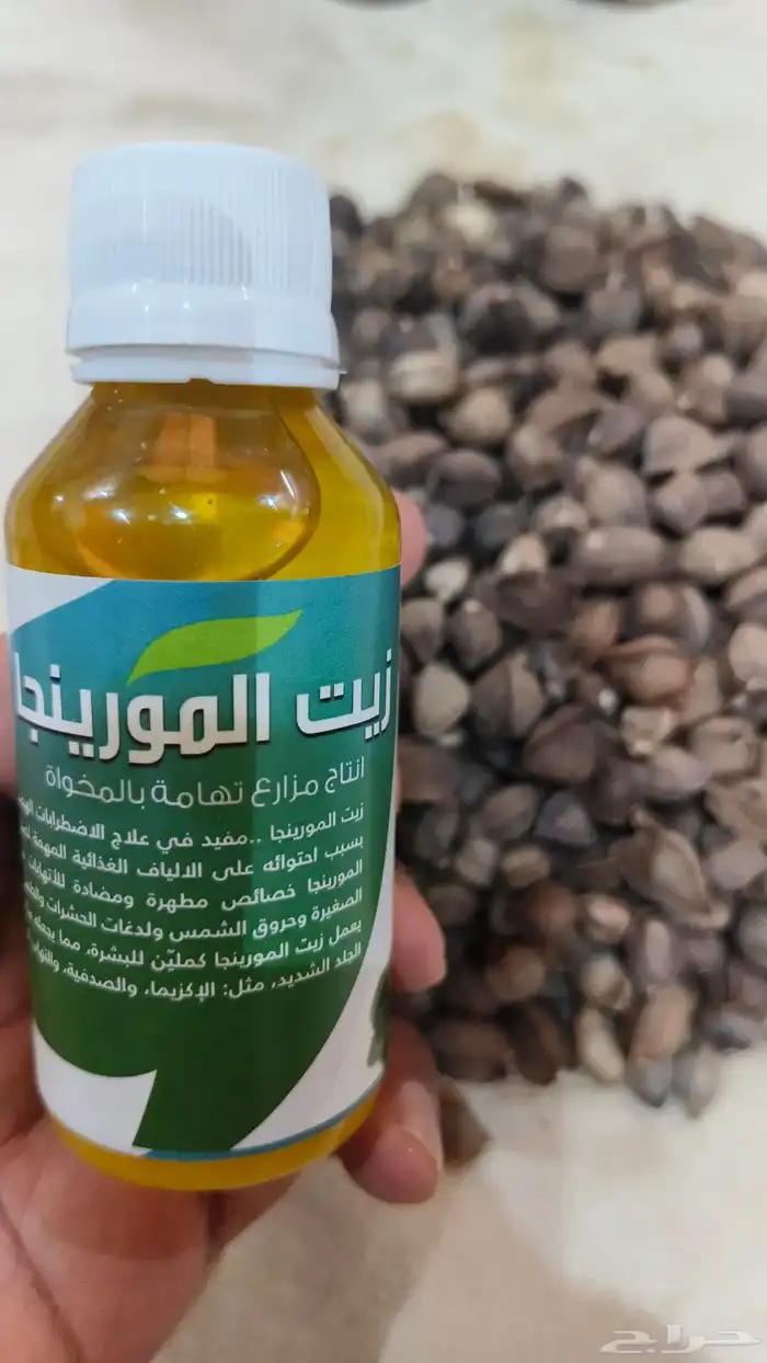 بذور المورينجا ( البان العربي) انتاج مزارع تهامة بالمخواة 3