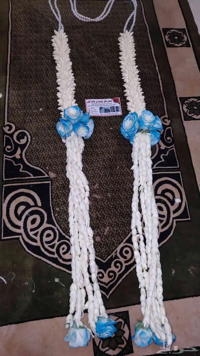 فل صبيا فل جيزان 3