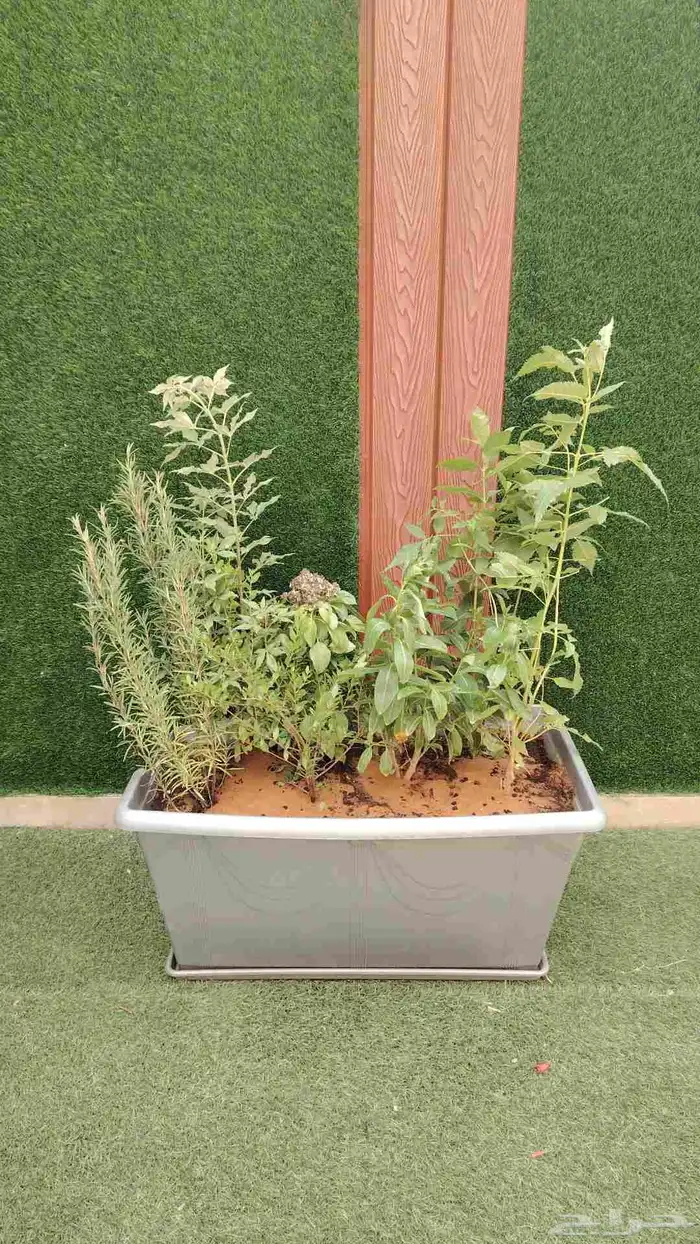 مشتل زرع وتيل طبيعي 0