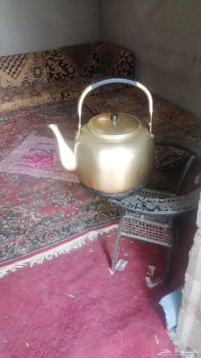 براد شاهي الحكم الكبير 1