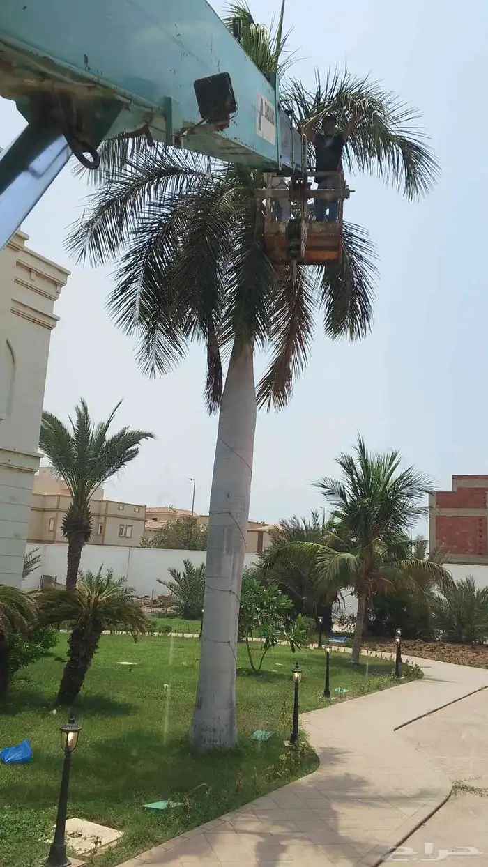 كرين ونش رافعه للايجار اليومي وبساعه والشهري 7