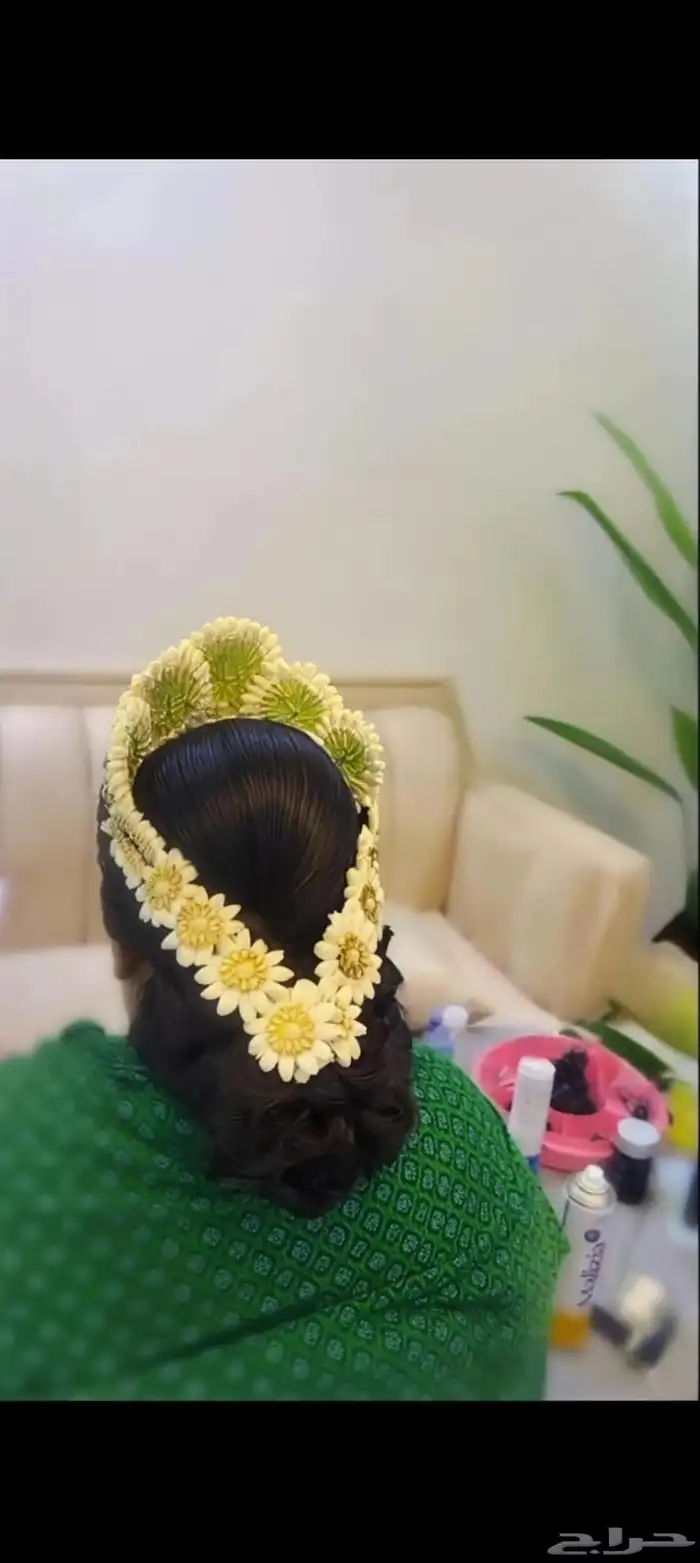 فل صبيا فل جيزان 2