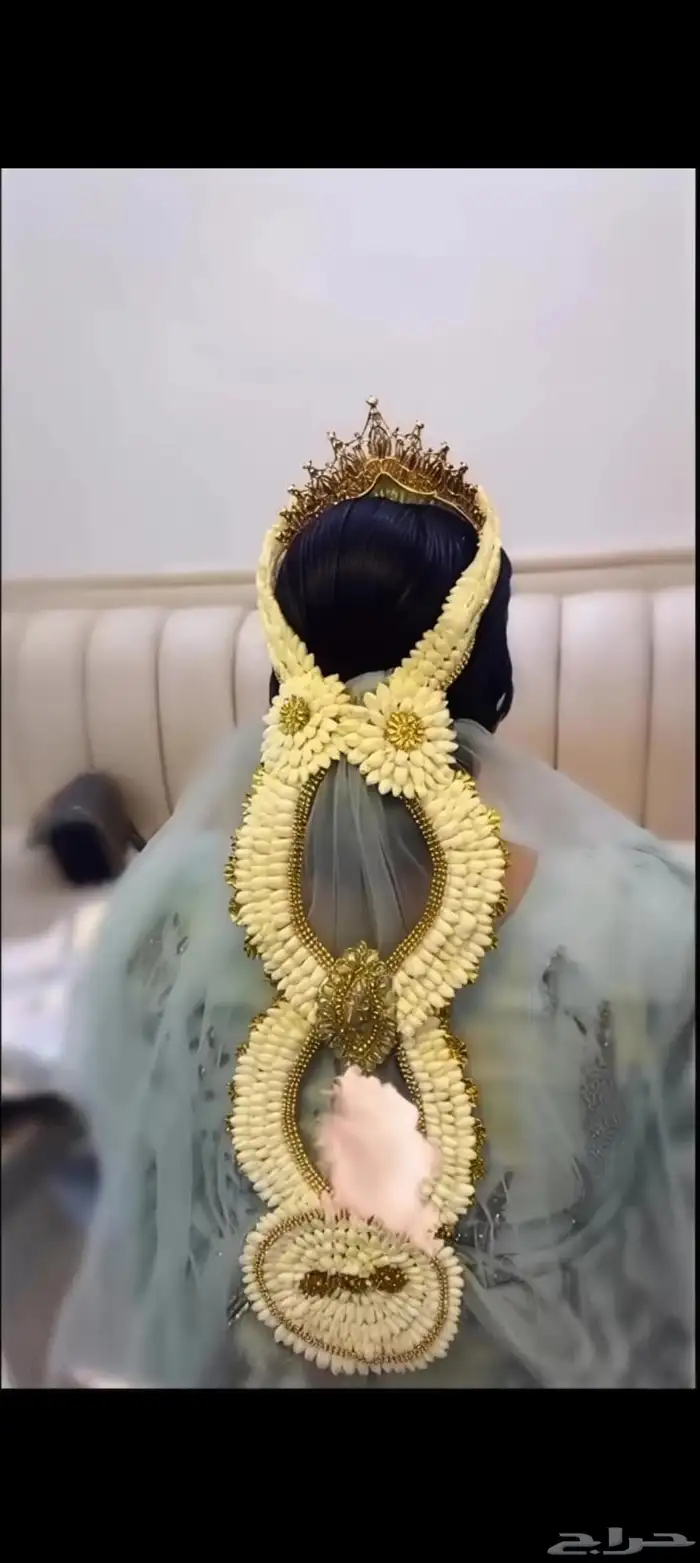 فل صبيا فل جيزان 0