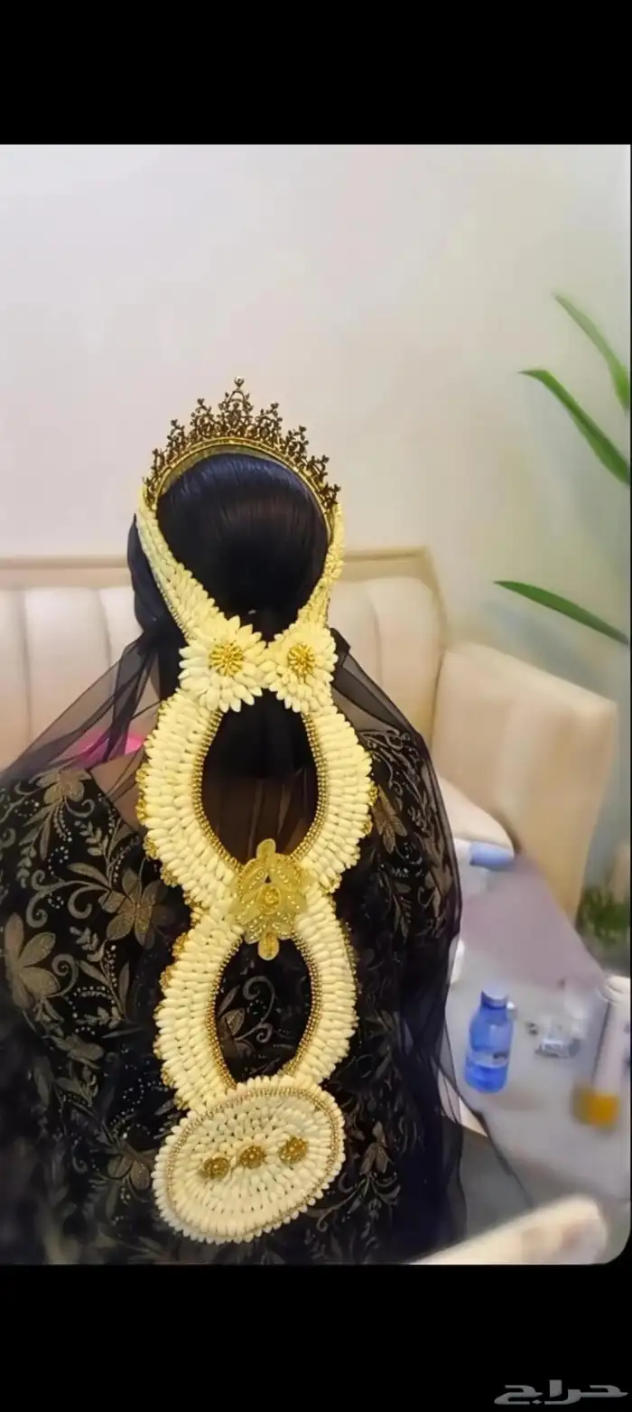 فل صبيا فل جيزان 1