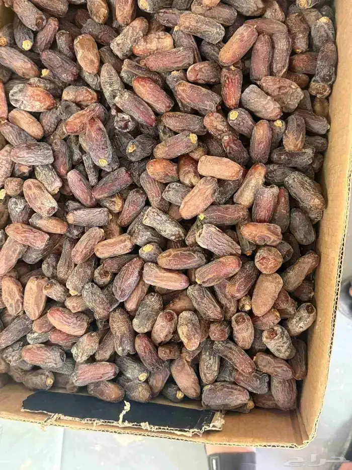 يوجد لدينا جميع انواع التمور مشكلات خلاص وبرحي 1