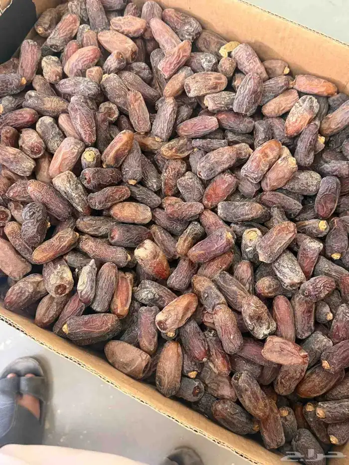 يوجد لدينا جميع انواع التمور مشكلات خلاص وبرحي 0