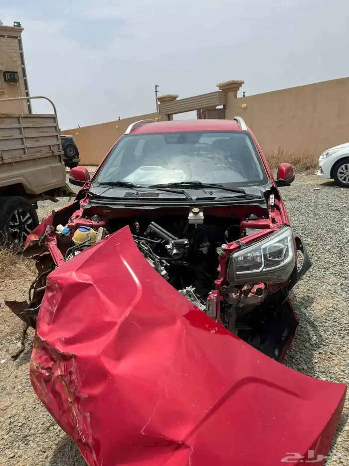 شيري .تيجو2 2